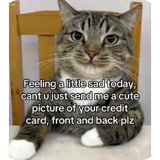 Video sticker 🫥 gay