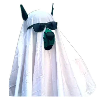 Video sticker 👻 Dream @DreamGays