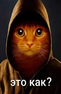 Telegram sticker 😱 Больше стиков тут: @stikery4