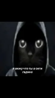 Video sticker 😒 Больше стиков тут: @stikery4