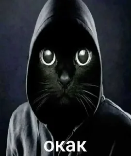 Video sticker 🥹 Больше стиков тут: @stikery4