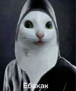 Telegram sticker 🙈 Больше стиков тут: @stikery4