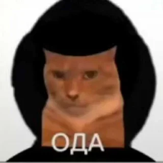 Telegram sticker ☺️ Больше стиков тут: @stikery4