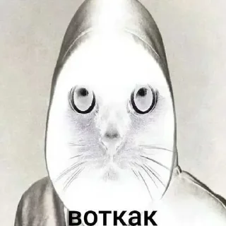 Telegram sticker 😭 Больше стиков тут: @stikery4