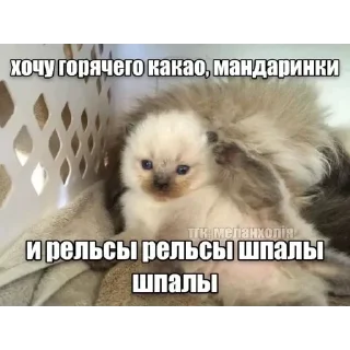 Telegram sticker ⭐️ Больше стиков тут: @stikery4