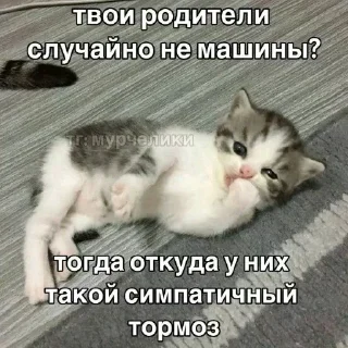 Telegram sticker ⭐️ Больше стиков тут: @stikery4