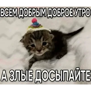 Telegram sticker ⭐️ Больше стиков тут: @stikery4