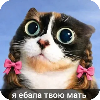 Telegram stiker 🐱 @stickeri_tg <-- стикеры тут