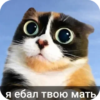 Telegram stiker 🐱 @stickeri_tg <-- стикеры тут