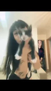 Video sticker 😎 @VideoStickerzBot-7678592552