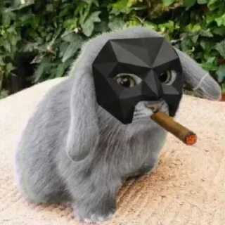 Telegram sticker 🐱 Коти - зайці @UAStickerbot