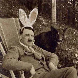 Telegram sticker 🐰 Noice Hitler by @fStikBot