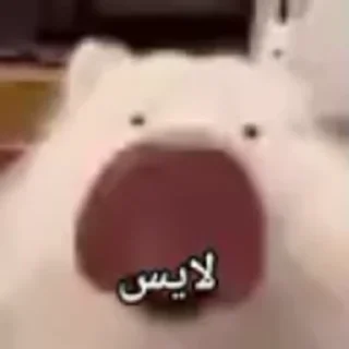Telegram sticker 🎇 دوبس‌ دوبس
