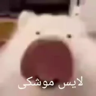 Telegram sticker 🎇 دوبس‌ دوبس