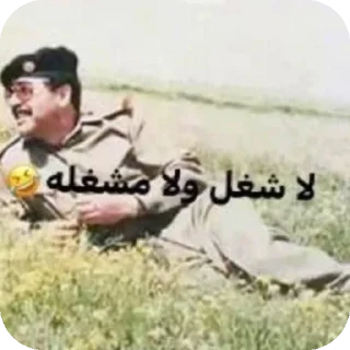 Video sticker 🐦 @l_8i0