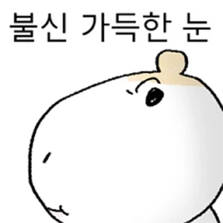 Video sticker ⭐ 왕대굴기니 @moe_sticker_bot