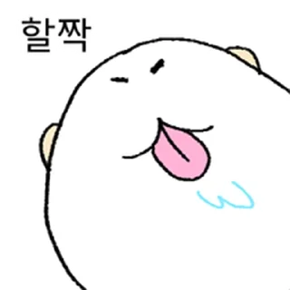Telegram sticker ⭐ 왕대굴기니 @moe_sticker_bot
