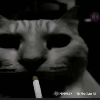 Video sticker 🚬 Больше стиков тут: @stikery4