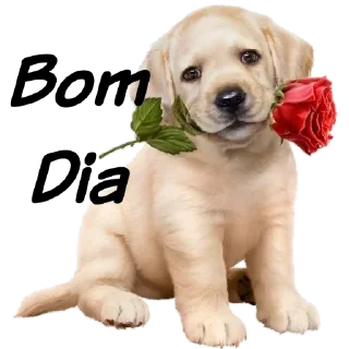 Telegram sticker 🕊 Jesus te ama ❤️ Val 🌺