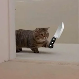 Video sticker 🔪 Больше стикеров тут: @stikery_emodzi_memy