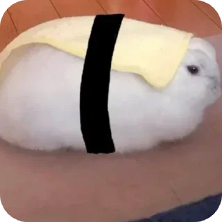 Video sticker 🍣 bunny (･ω･)