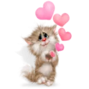 Sticker ❤️ Котейка @StikerDi