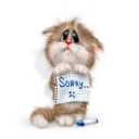 Video sticker 😔 Котейка @StikerDi