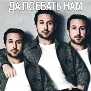 Video sticker 👥 Да поебать мне