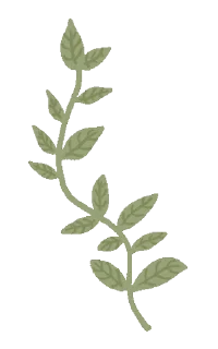 Video sticker 🤩 ୨꒰ cremefleurs ꒱୧ @ID_CALIXTE