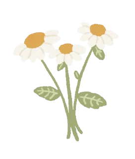 Video sticker 🤩 ୨꒰ cremefleurs ꒱୧ @ID_CALIXTE