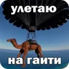 Video sticker 🐪 Picun F6 TROLLFACE...