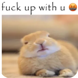 Video sticker 👍 (@NewPackBot)🌱 Mohanesya