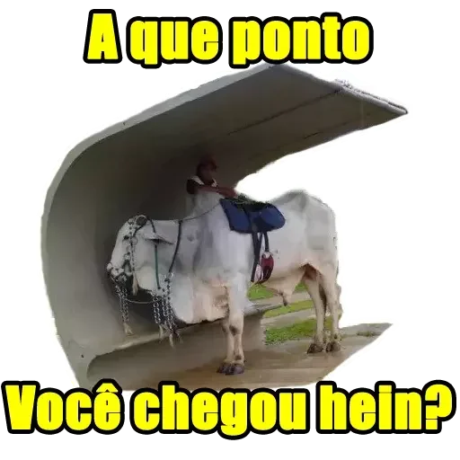 Telegram sticker 🌝 Meu pacote 2