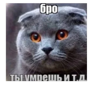 Telegram sticker 🫥 sonchezzz :: @fStikBot