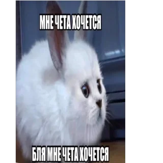 Telegram sticker 🫥 sonchezzz :: @fStikBot