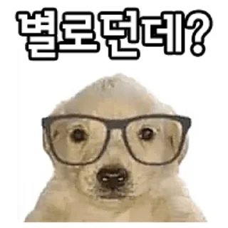 Sticker 🤓 디럭스 그럼죽어
