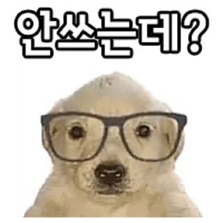 Telegram sticker 🤓 디럭스 그럼죽어