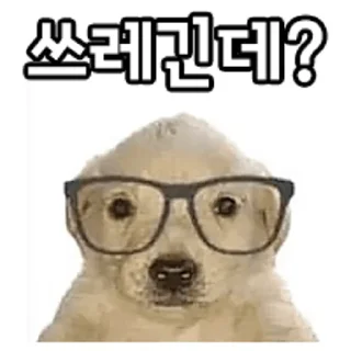 Telegram sticker 🤓 디럭스 그럼죽어