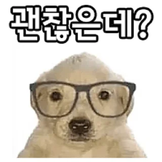 Video sticker 🤓 디럭스 그럼죽어