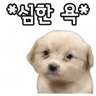 Telegram sticker 🐶 디럭스 그럼죽어