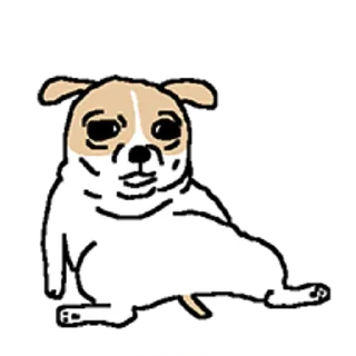 Video sticker 😀 치왈왈 3