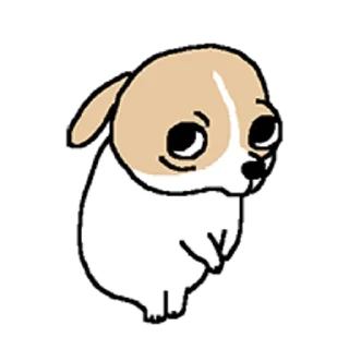 Video sticker 😀 치왈왈 3