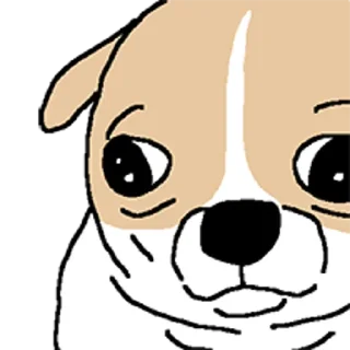 Video sticker 😀 치왈왈 3