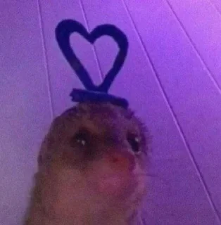 Telegram sticker 🌟 кустик крашиха by @fStikBot