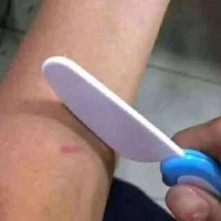 Telegram sticker 🌟 кустик крашиха by @fStikBot