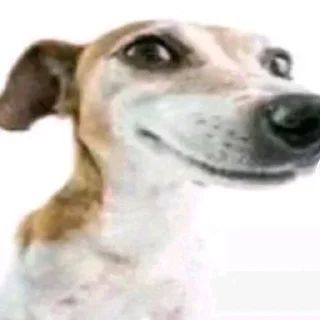 Telegram stiker 😃 @VLAGA_STICK 👈 Там ВСЕ стикеры❤️