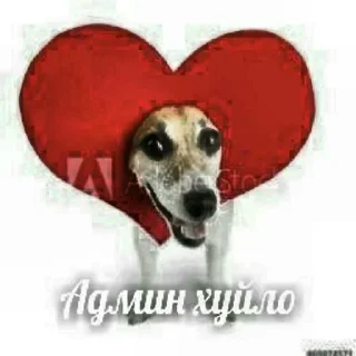 Telegram stiker 🥶 @VLAGA_STICK 👈 Там ВСЕ стикеры❤️