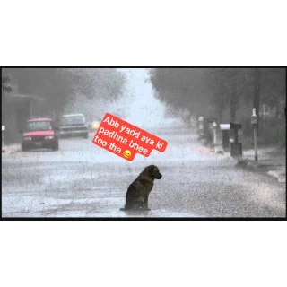 Video sticker 🖼 𝁘 ໍ𓂃❛ • 𝙎𝙋𝞚𝙍𝙎𝙃• @DoodleGatorBot