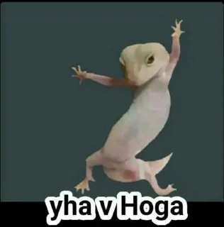Телеграм стикер 👀 @Himachali_Touch's legend Vol.1