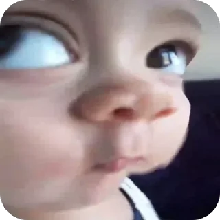Video sticker 😒 Mutz Figurinhas :: @fStikBot